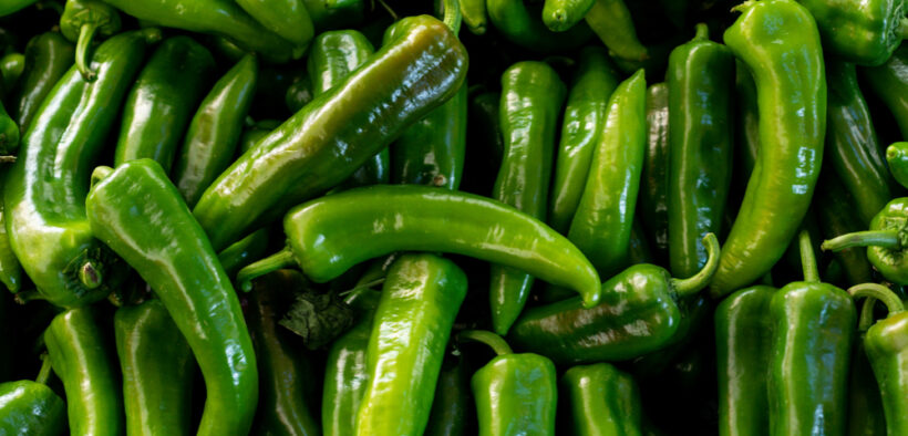 identidad cultural de la gastronomía mexicana