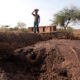 cómo impacta la sequía en el campo