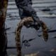 Ecuador protege la Amazonía