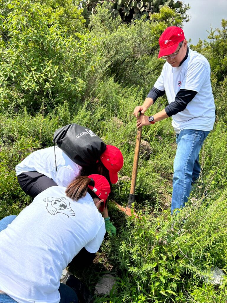 ReforestaTIP