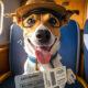 apps para aerolíneas