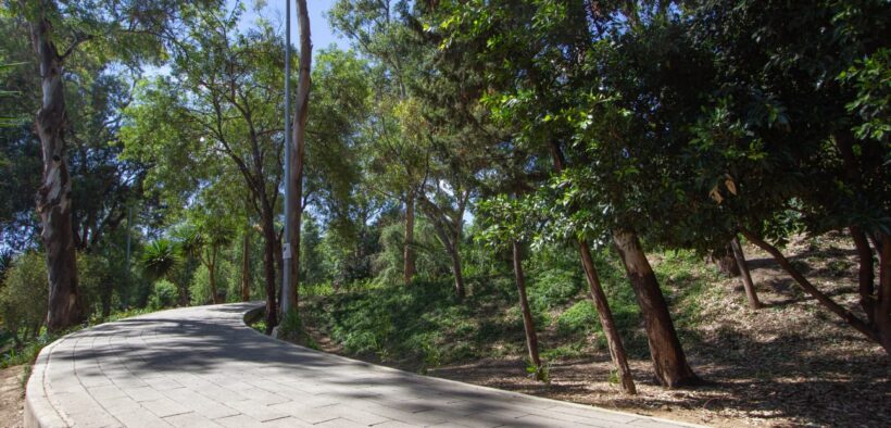 canal nacional de la cdmx