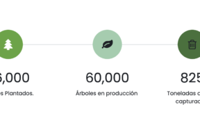 Green Ticket Primera boletera sustentable