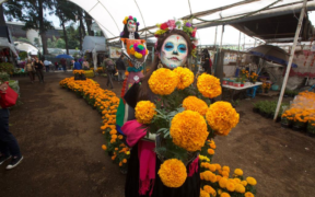 flor de cempasúchil