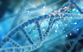 virus ancestrales