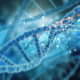 virus ancestrales