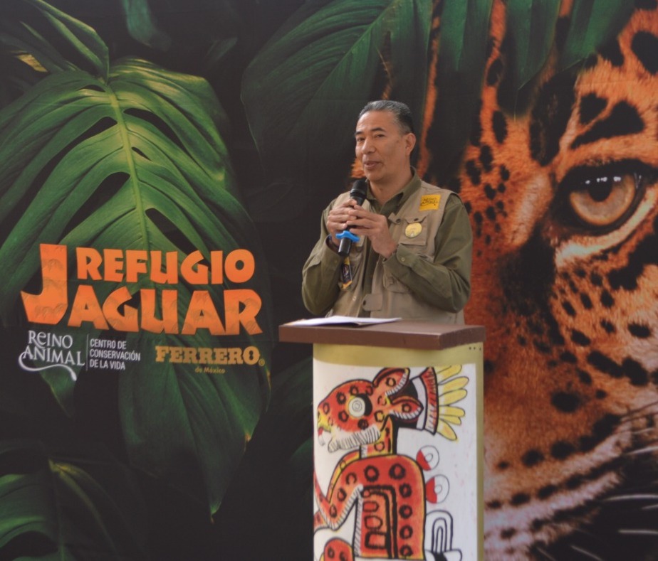 Ithiel Berrum, director general de Reino Animal, jaguar mexicano