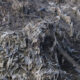 cuánto contaminan las toallitas húmedas