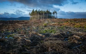 cambio climático