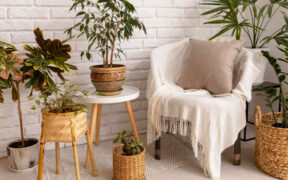 decoración sostenible