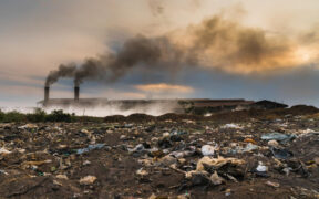 destrucción ecosistémica