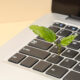 green software