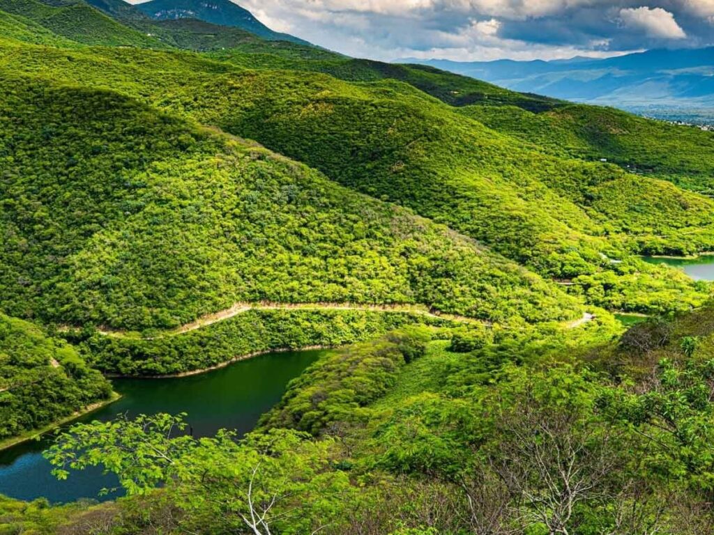 Sierra Gorda de Querétaro, impuesto al carbono en México