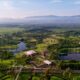 CDMX en materia ambiental
