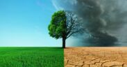 Cambio Climático