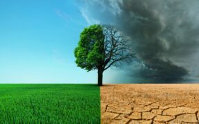 Cambio Climático