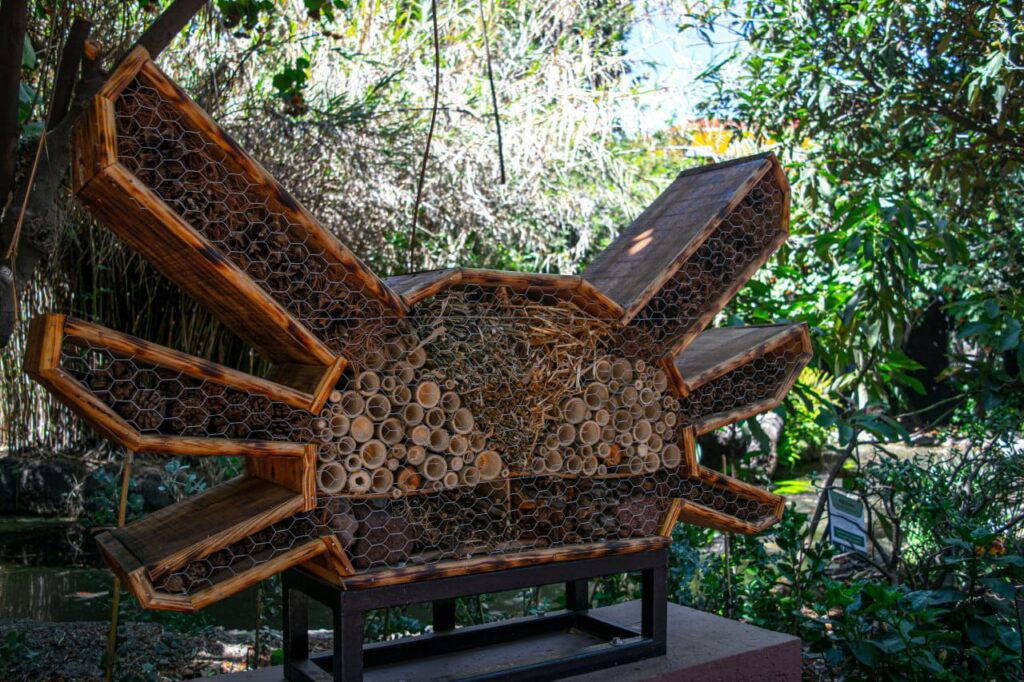 hoteles para insectos