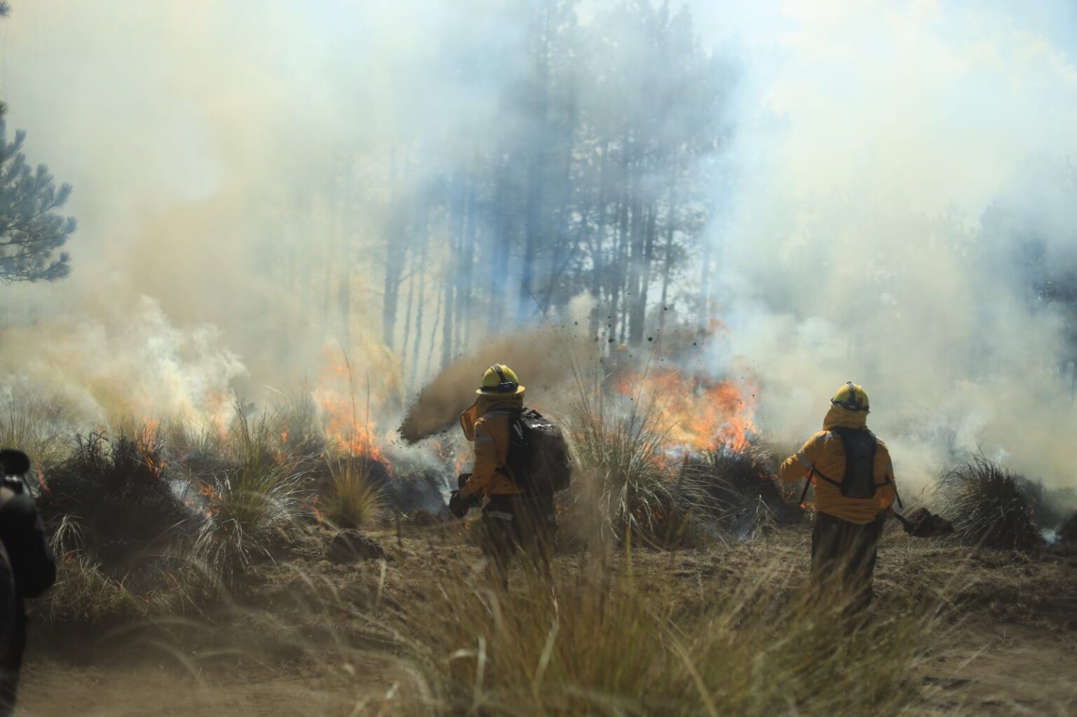 incendios forestales