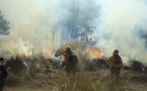 incendios forestales