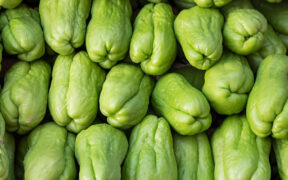 chayote