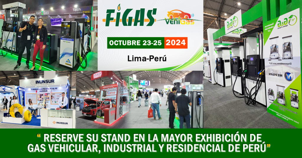 FIGAS Y VEHIGAS