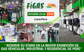 FIGAS Y VEHIGAS