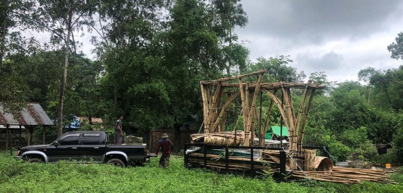 bambú para construir casas