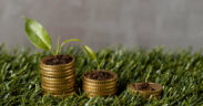 seguros verdes