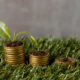 seguros verdes