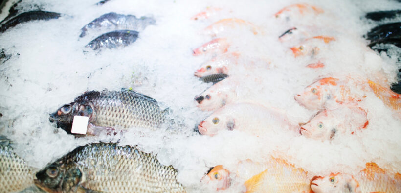 pescado