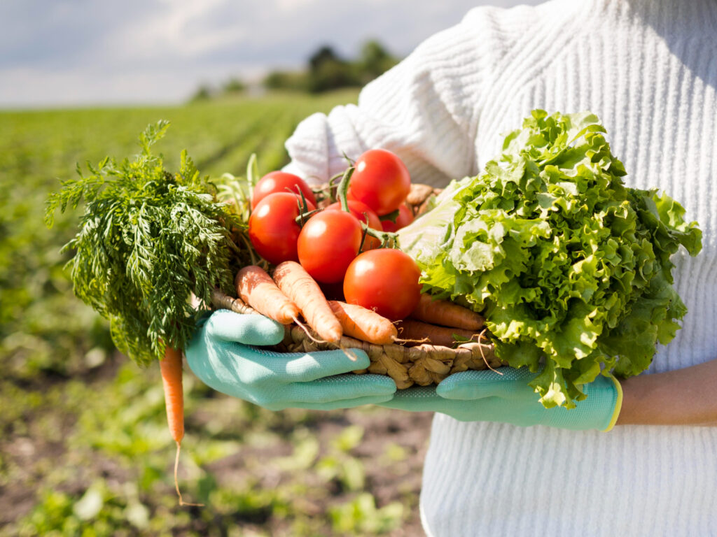 sistema alimentario