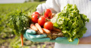 sistema alimentario