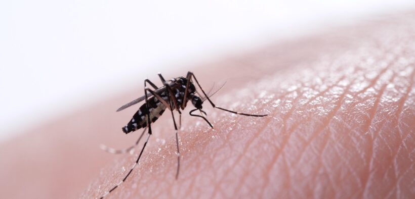 síntomas del dengue