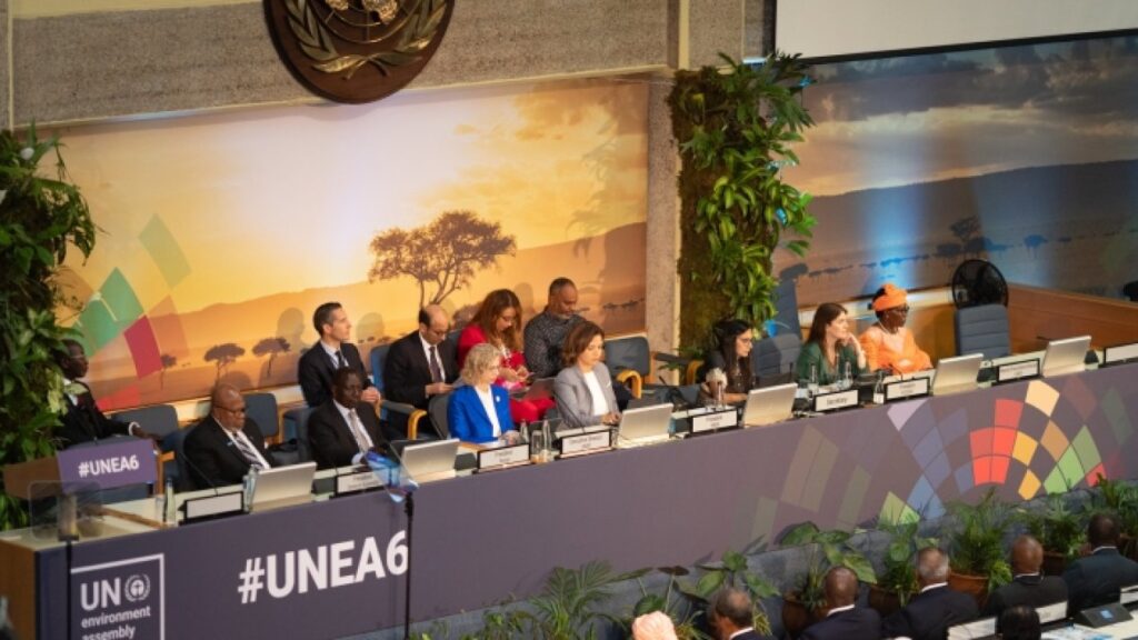 UNEA-6