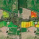 Agricultura regenerativa_ CO2 capturado del suelo
