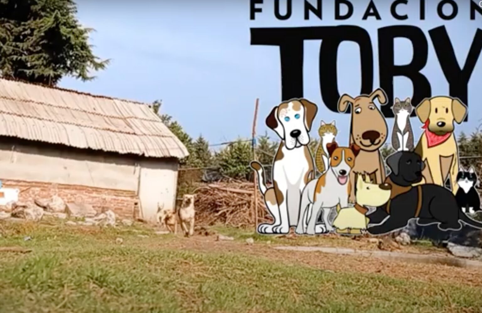 Fundación Toby