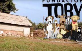 Fundación Toby