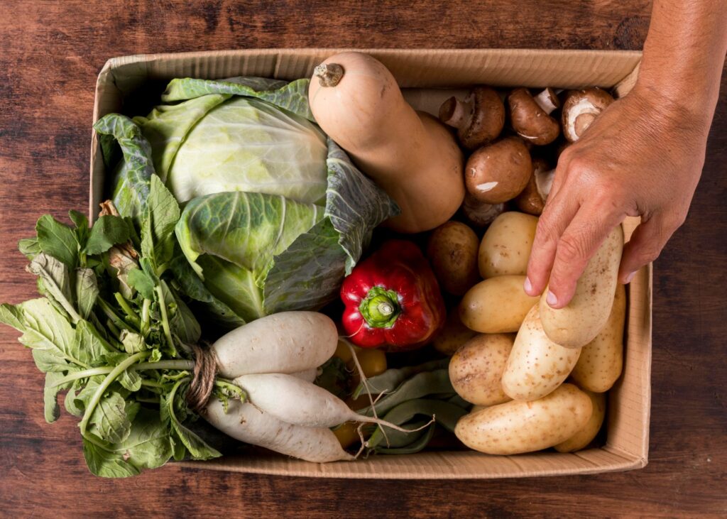agroecología y alimentación