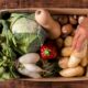 agroecología y alimentación