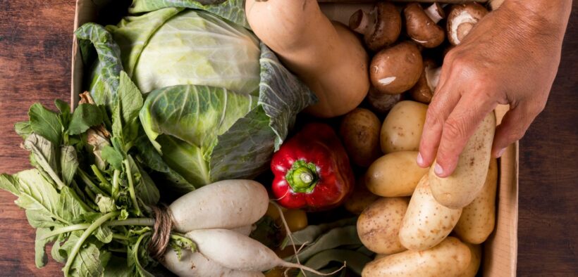 agroecología y alimentación