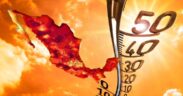 calor