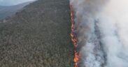 falta de atención a incendios en Oaxaca