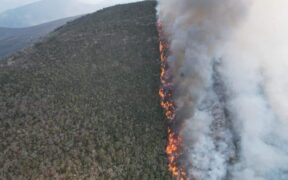 falta de atención a incendios en Oaxaca