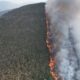 falta de atención a incendios en Oaxaca