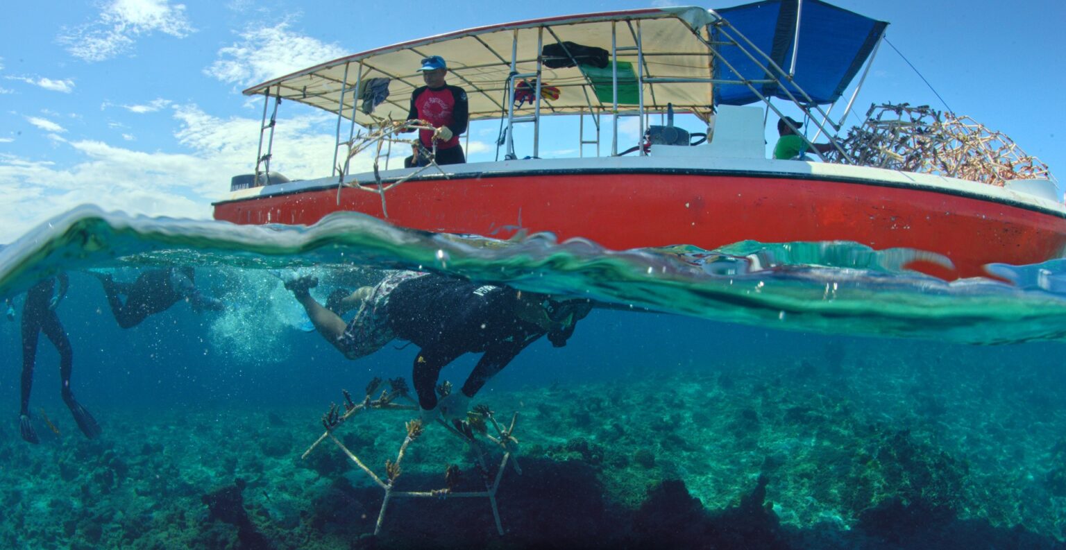 iniciativas de conservación de los mares