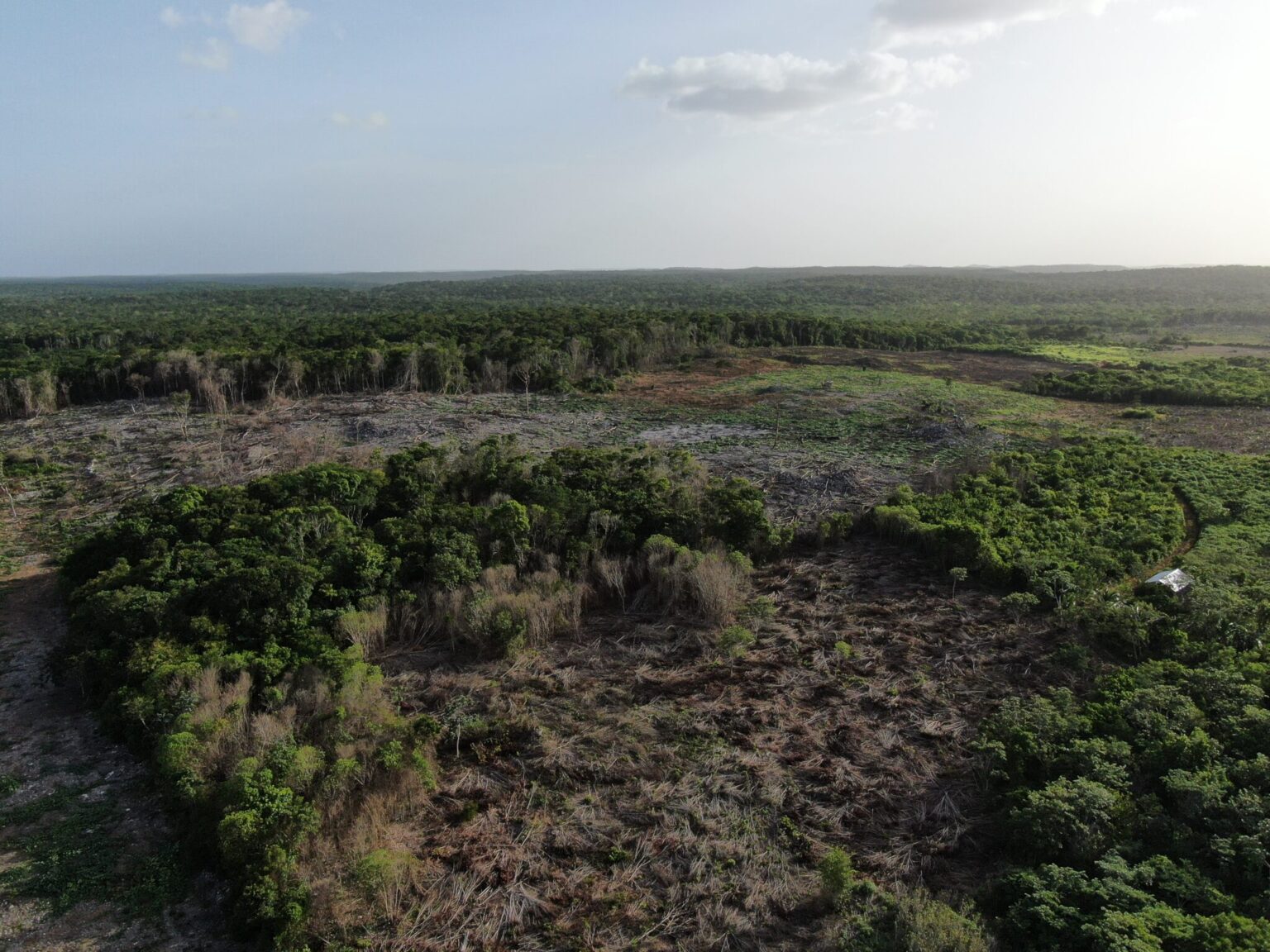 península de Yucatán