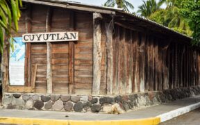 cuyután