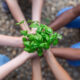 derechos humanos