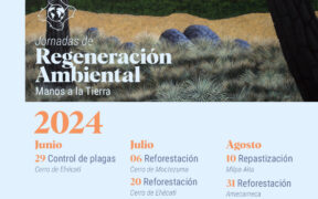 jornadas de reforestación
