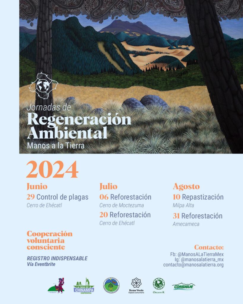 jornadas de reforestación